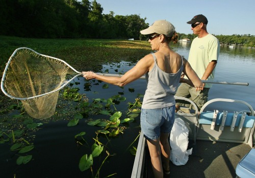 Exploring Volunteer Opportunities for Baseball Activities in Harrison County, MS